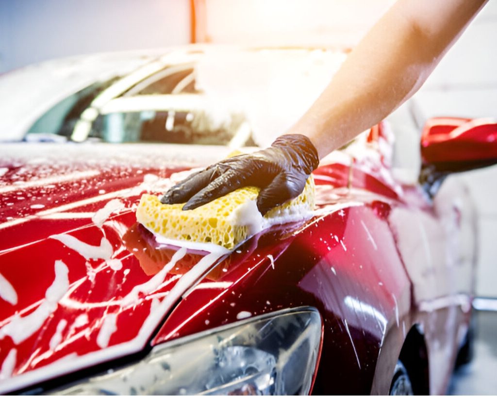 Untitled design (30)